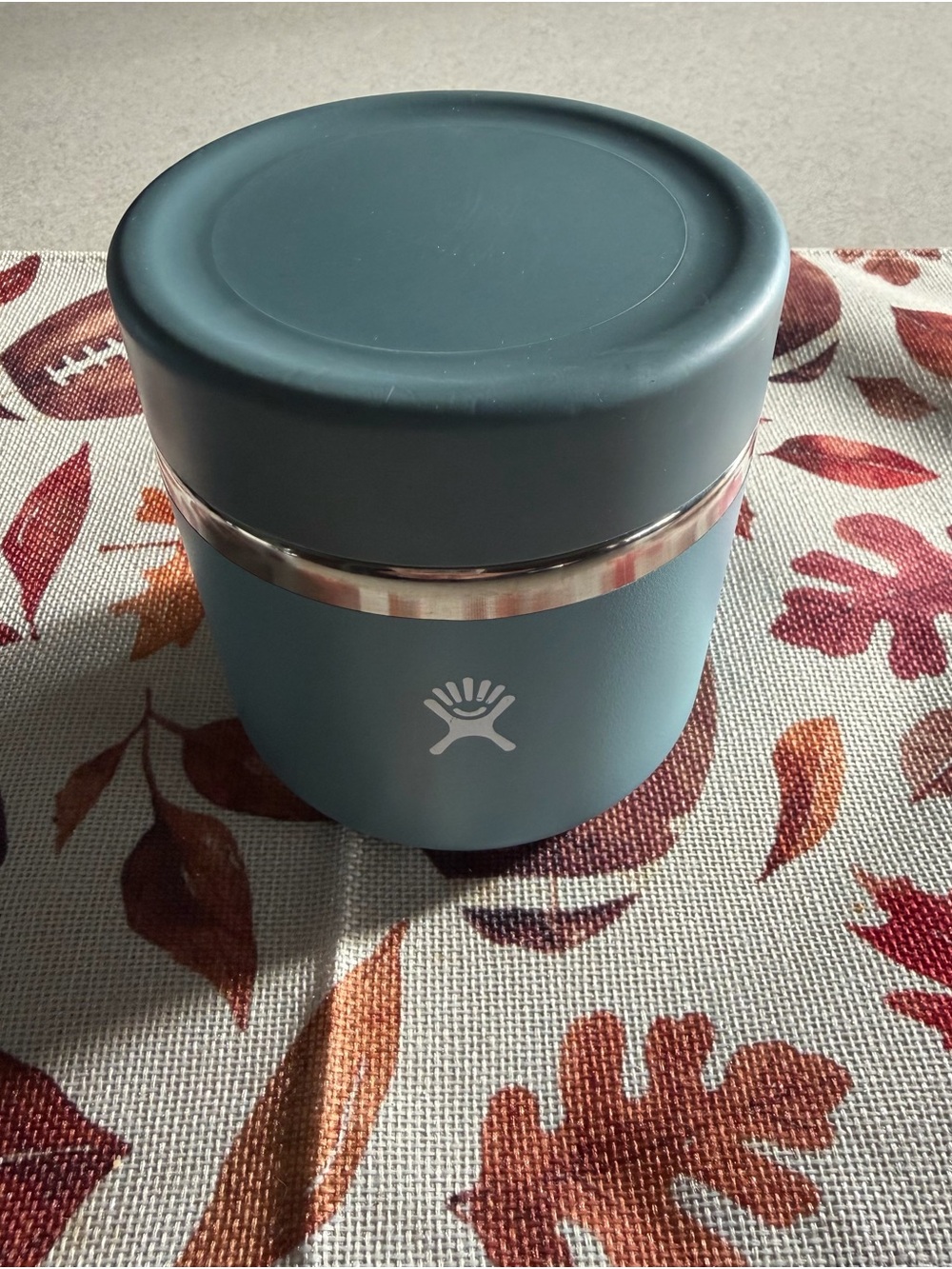 Hydro Flask Food Jar Insulated Stainless Steel Snack Container 20oz Baltic